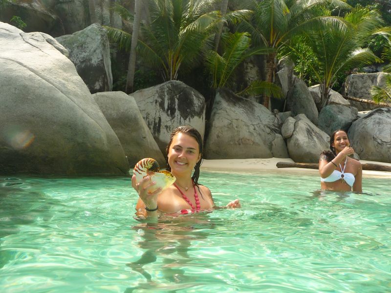 Ins hat das Gehuse eines Nautilus gefunden!